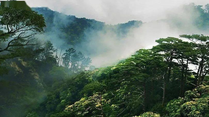 成都某金融公司涉嫌诈骗，普通员工被拘留，现在取保候审中，检察院会不会批捕？普通员工会怎么判？